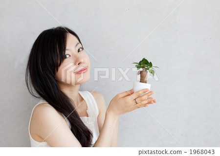 榕樹和女性 1968043