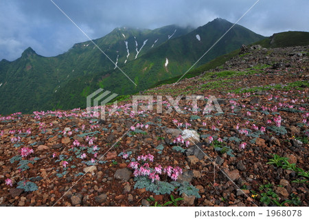 Mount Nisei Kashippe和Cumkusa 1968078