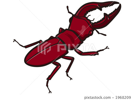 Insect _ Saw Palmetto _101115 Insect _ Saw Palmetto _101115 1968209