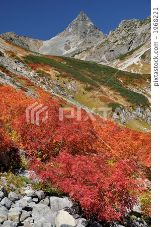 Autumn leaves and Spearhead Autumn leaves and Spearhead 1968221