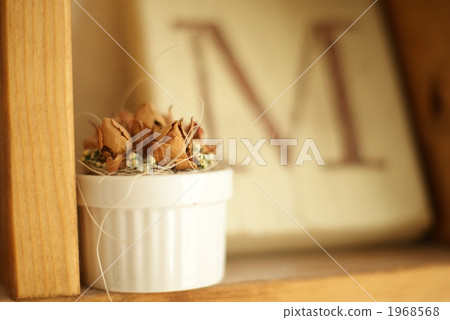 Blizzard Flower accessories 1968568