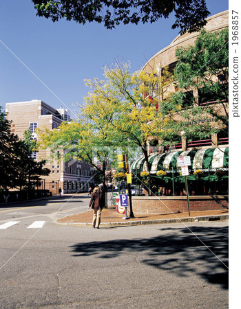 劍橋街道 1968857