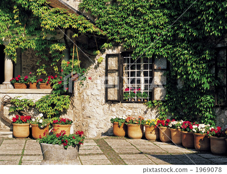 Flowers at the window of Bled Castle 1969078