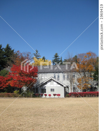 秋葉森林公園 1969419