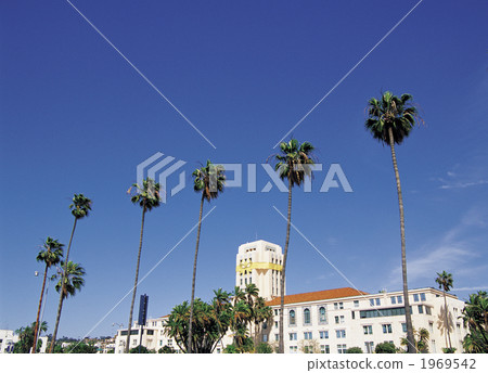 聖地亞哥海灘漫步 1969542