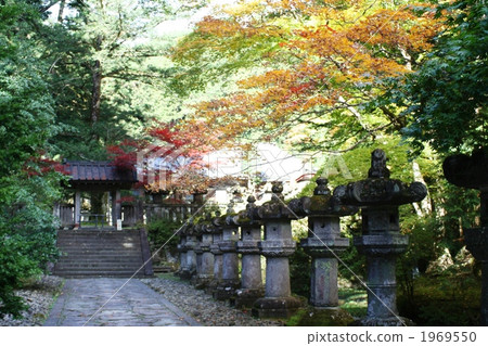 Autumn leaves of shrines and temples in Nikko 1969550