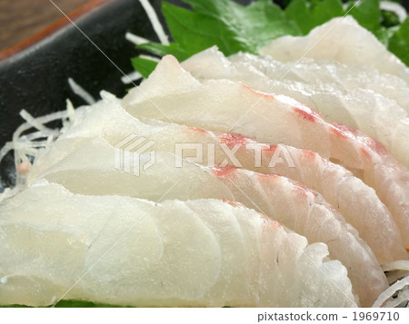 生魚片 刺身 新鮮的魚 1969710