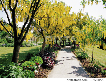 範杜森植物園 1970055