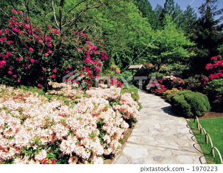 維多利亞的布查特花園 1970223