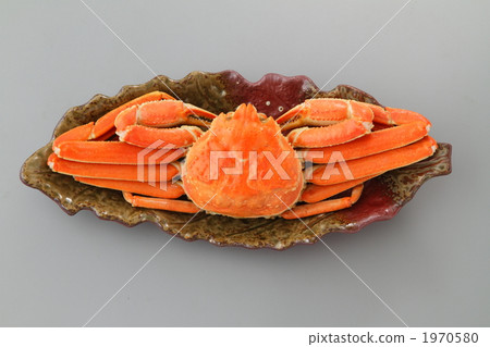雪蟹 海鮮 海產品 1970580