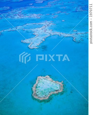 Heart type coral reef Heart type coral reef 1970711