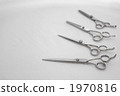 barber scissors, scissors, beauty salon 1970816