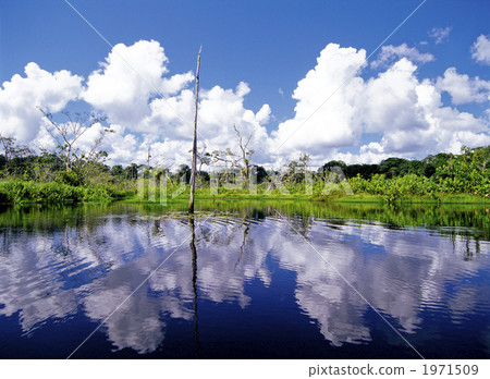 秘魯亞馬遜起源地區 1971509