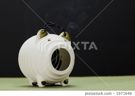 Mosquito taking pig 1971646