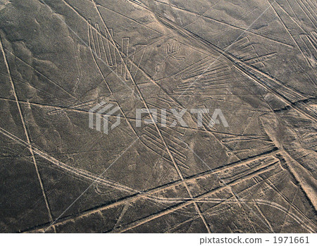 Nazca ground painting 1971661