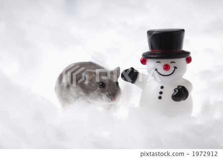 Hamster and Snowman 1972912