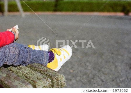 feet, foot, paw 1973662