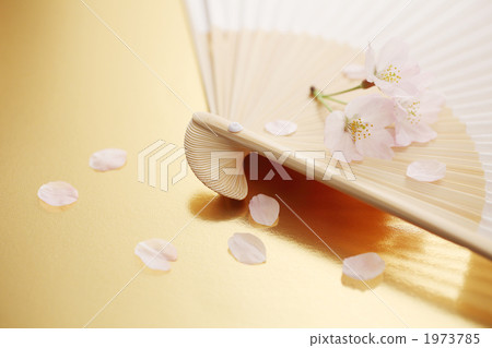 粉絲和櫻花花瓣 粉絲和櫻花花瓣 1973785