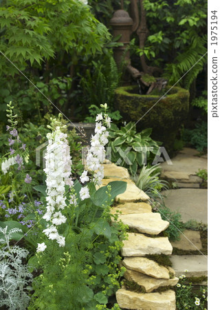 gardening  1975194