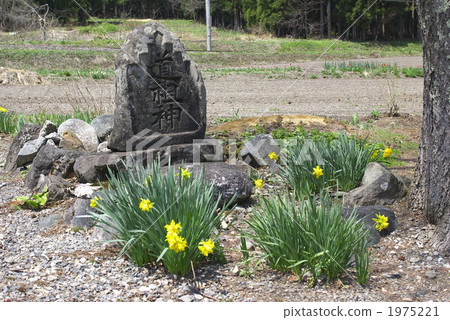 Dogenic god（20070504水平） 1975221