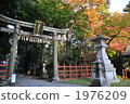 Autumn leaves 1976209