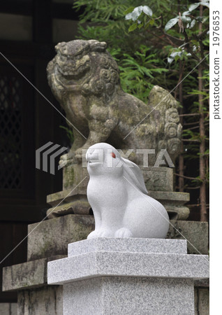 Komausagi Komausagi 1976853