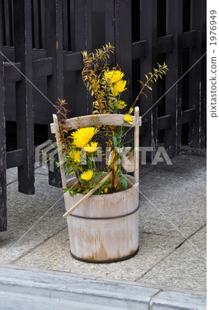 Shop flowers 1976949