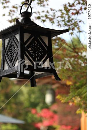 background of autumn colors, illuminating, illumination 1977080