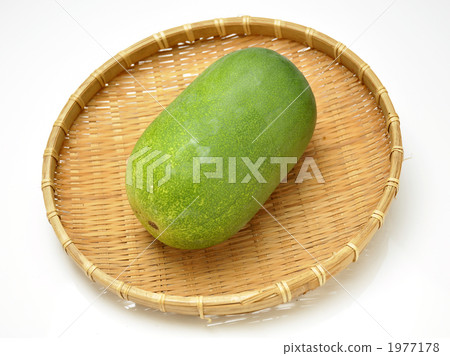 east bank, eastern coast, wax gourd 1977178