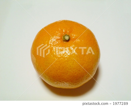 Mandarin orange Mandarin orange 1977289