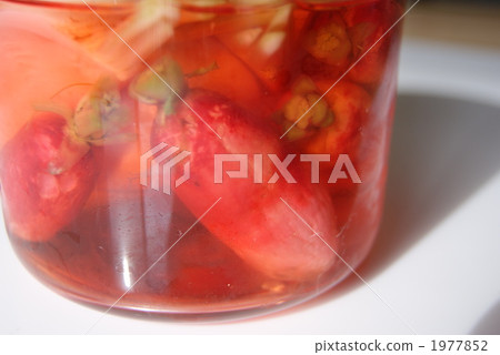 浸酸 酸洗 醃菜 1977852