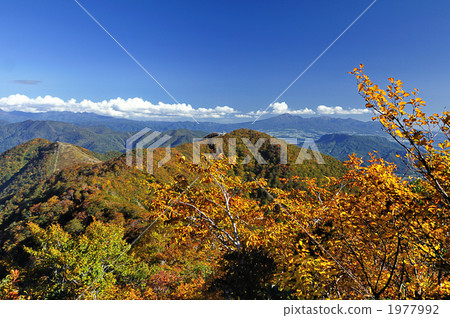 Tanigawa-dake的秋葉 1977992