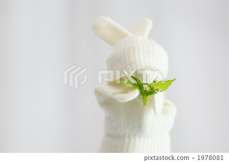 Glove white rabbit 1978081