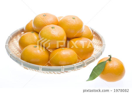 Mandarin orange  1978082