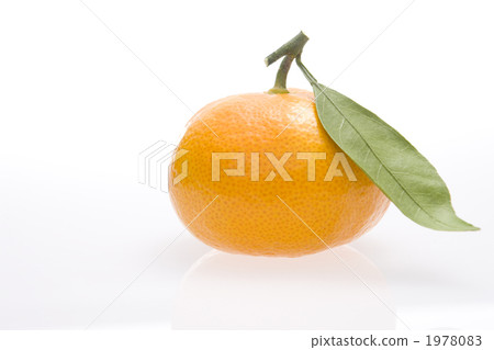 Mandarin orange Mandarin orange 1978083