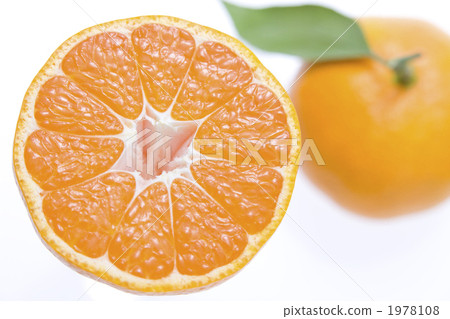 Mandarin orange Mandarin orange 1978108
