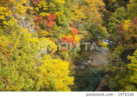 Gifu Adachi Gorge Gifu Adachi Gorge 1978186