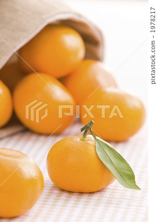 橘子 1978217