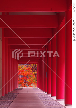 支柱 走廊 紅 1978540