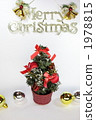 Christmas tree vertical 1978815