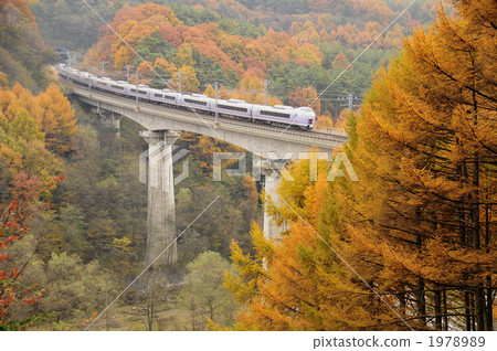 Super Azusa going through the larch forest Super Azusa going through the larch forest 1978989