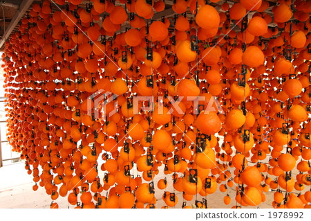 加工食品 特產 特殊產品 1978992