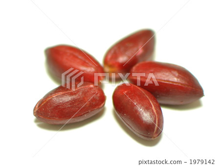 Miracle fruit Miracle fruit 1979142