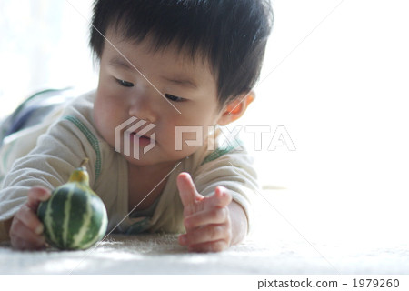 Baby playing with pepo squash Baby playing with pepo squash 1979260