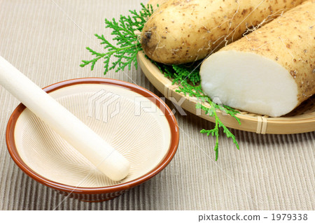 一個土豆 1979338