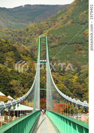 Mt. Iguchiya大型吊橋 1979401