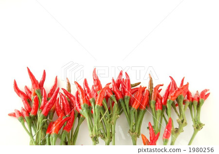 Arranged pepper 1980256