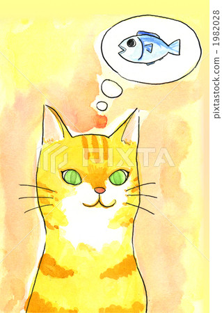 Cat wanting fish Cat wanting fish 1982028