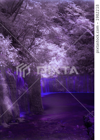 Shiraito瀑布 1982218