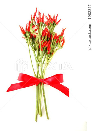 Arranged pepper 1982225